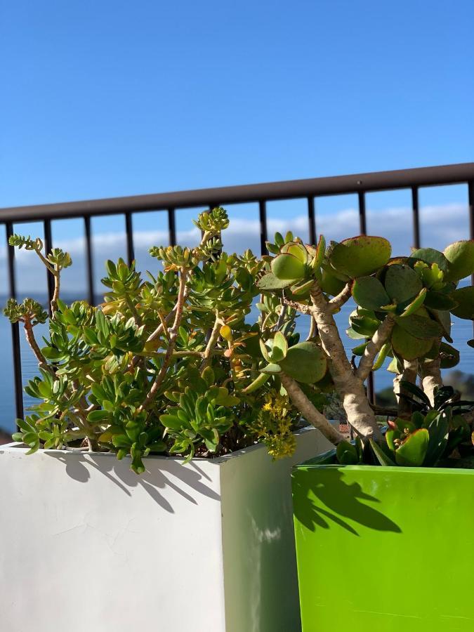 Suite Les Couchants Porticcio  Eksteriør bilde